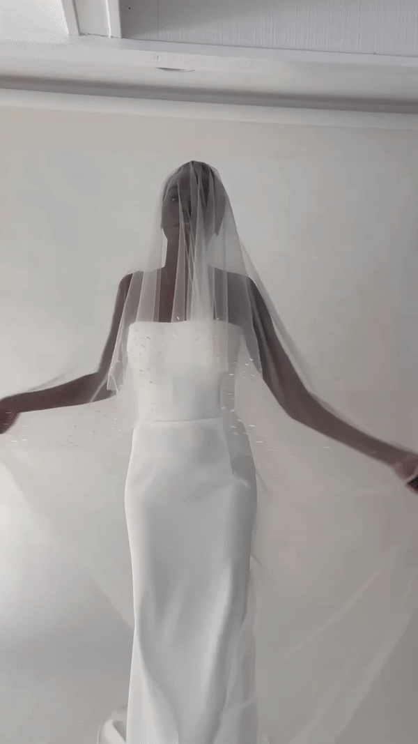 【新】【A.B. ELLIE】 Nova Metallic Edge Veil